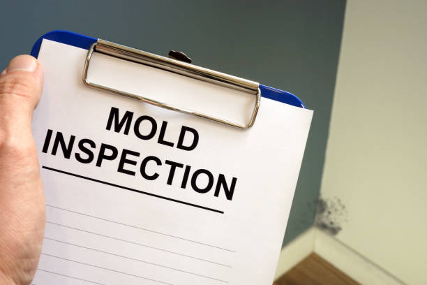 Best Mold Remediation for Rental Properties  in Mechanicstown, NY